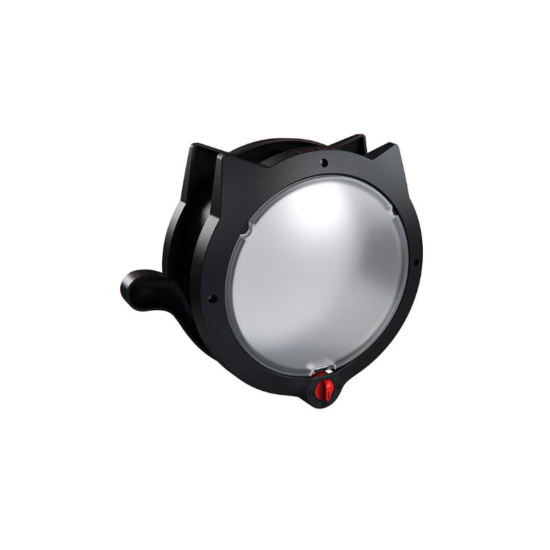 Cat Door Pet Gate Frame