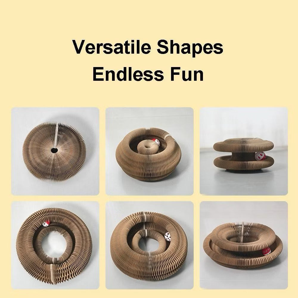 Organ Cat Scratch Board