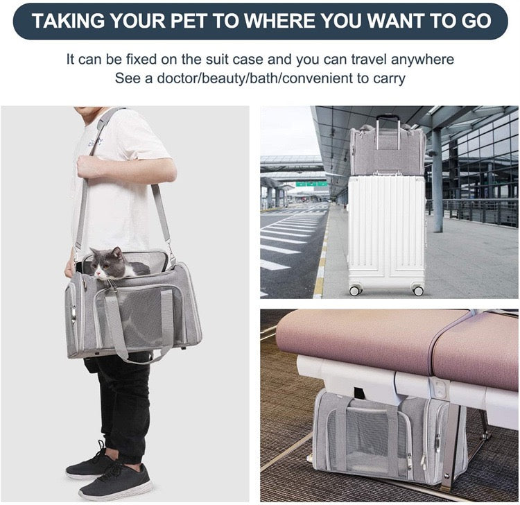 Airline Approved Pet Carrier Bag