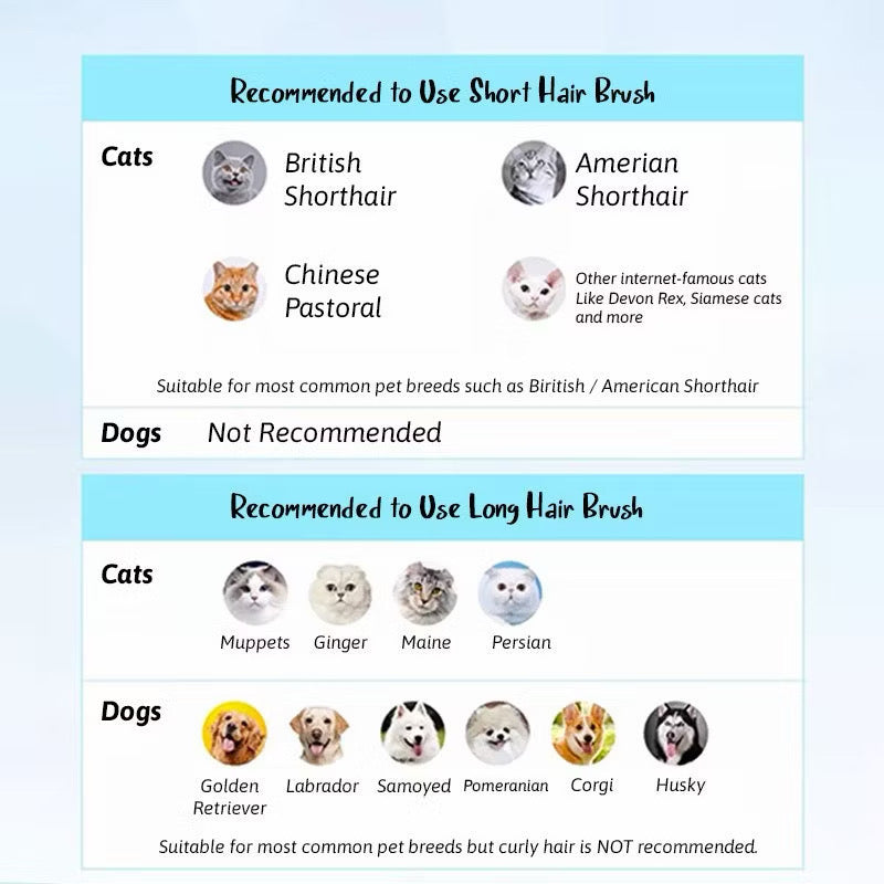 2 in 1 Cat Dog Grooming Comb with Water Tank