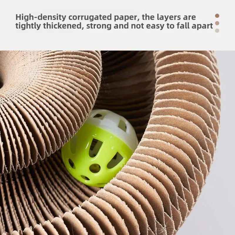 Organ Cat Scratch Board