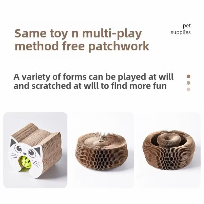 Organ Cat Scratch Board