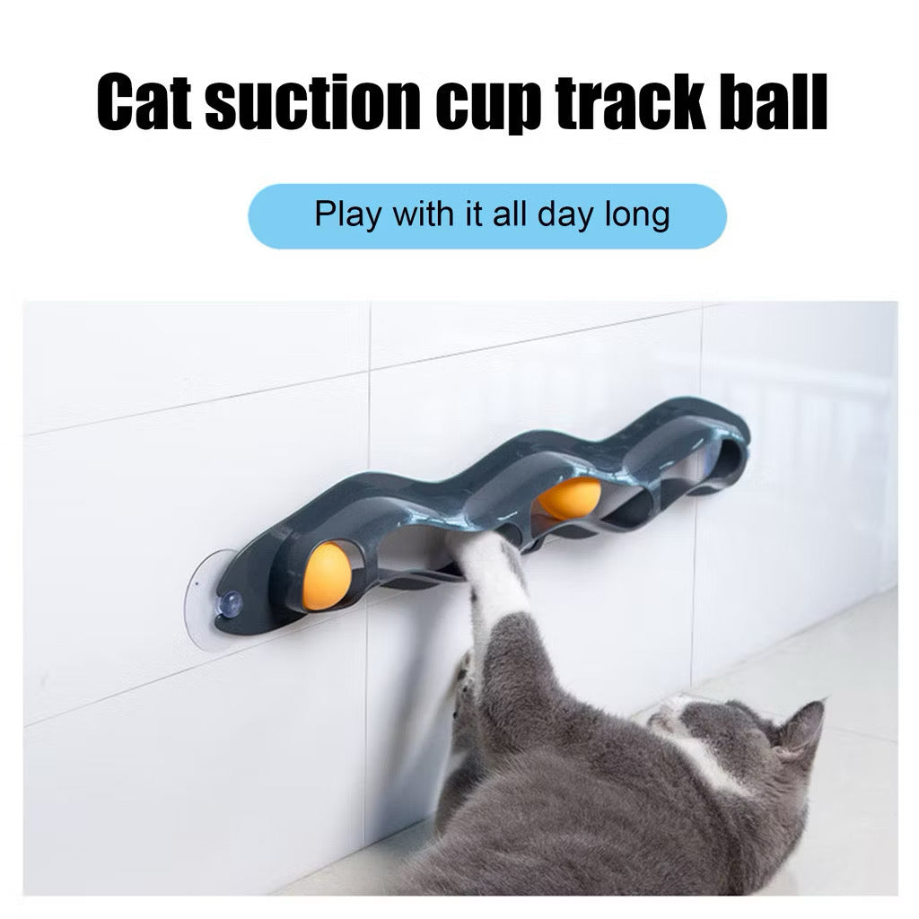 Cat Track Ball Toy