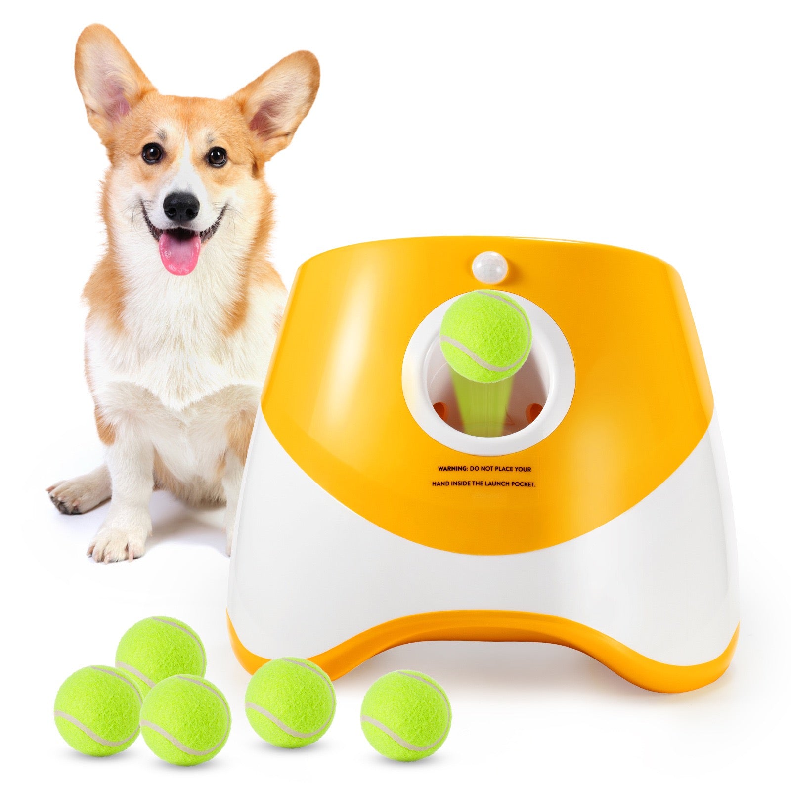 Automatic Dog Ball Launcher