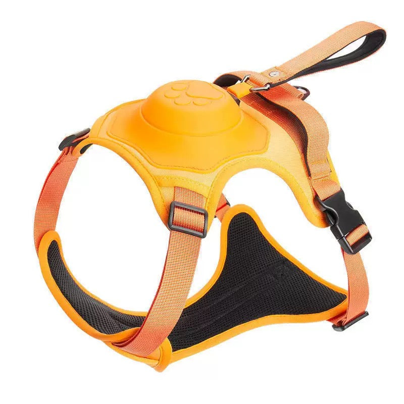 Dual Leash Pet Traction Vest