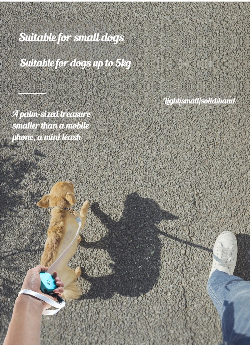 pet leash