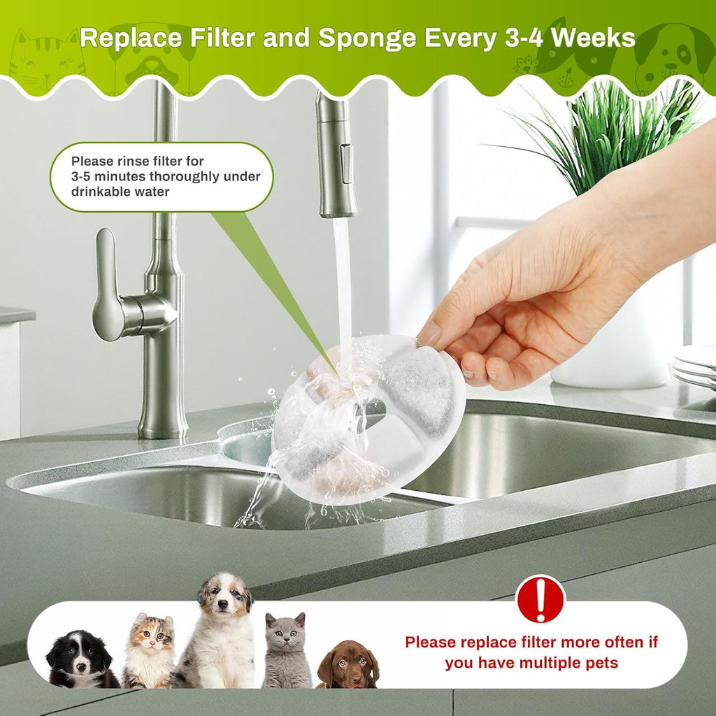 Automatic Water Dispenser With Stainless Steel