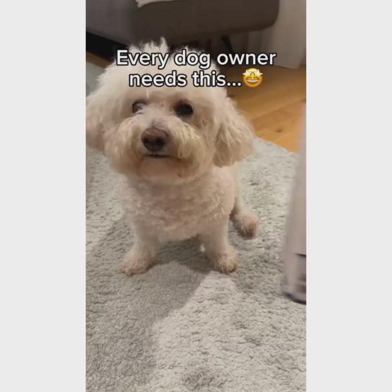 Automatic Pet Paw Cleaner