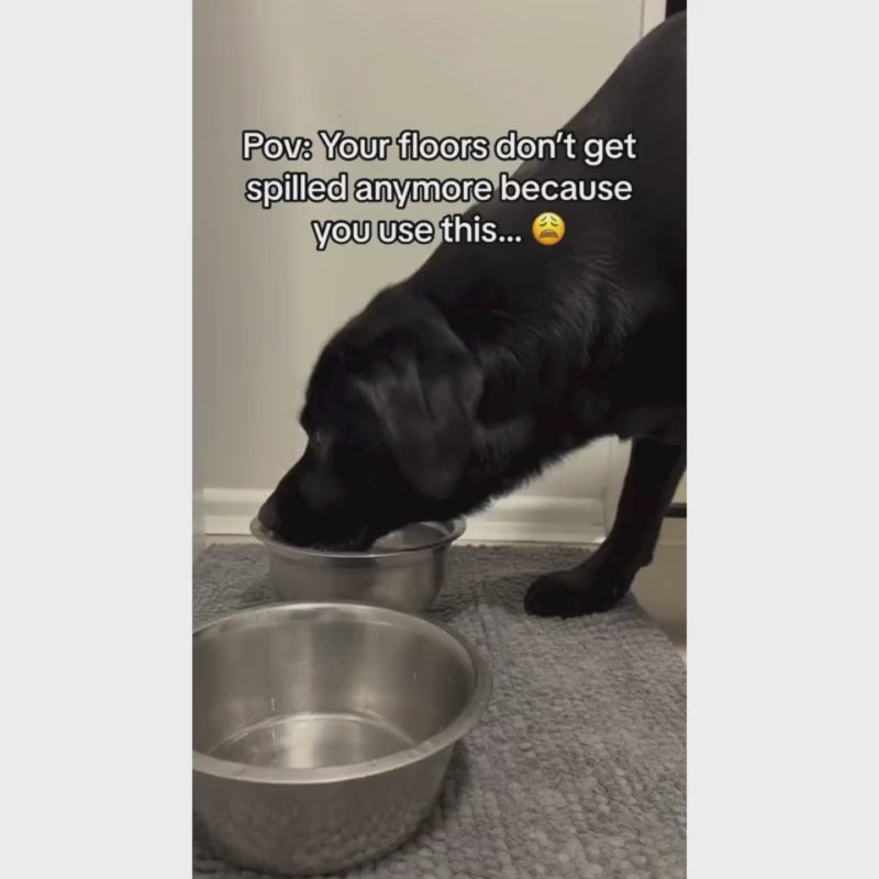 Pets Anti Splash bowl