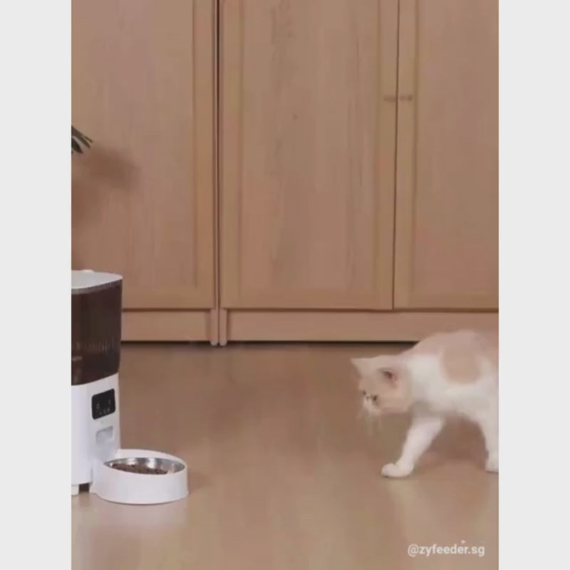 5L Pet Automatic Feeder with Camera