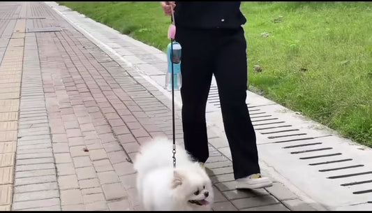 3 in 1 Multi-functional pet travel water bottle