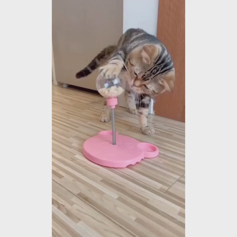 Funny Cat Puzzle Treat Ball