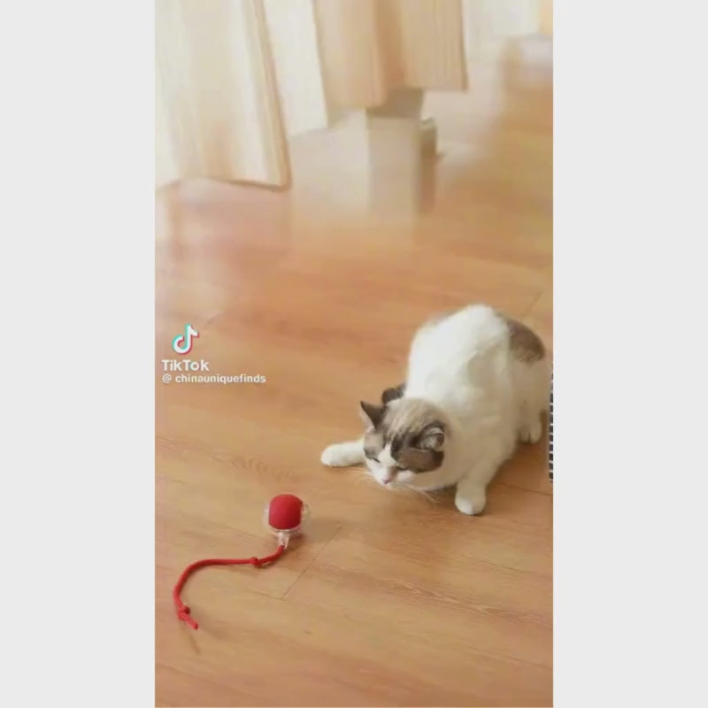 Electric Interactive Cat Toy Ball