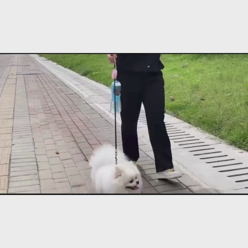 3 in 1 Multi-functional pet travel water bottle