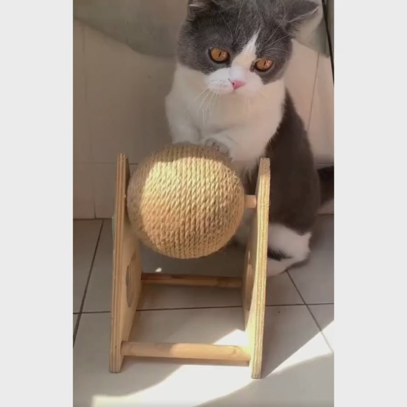 Cat Scratching Ball Toy