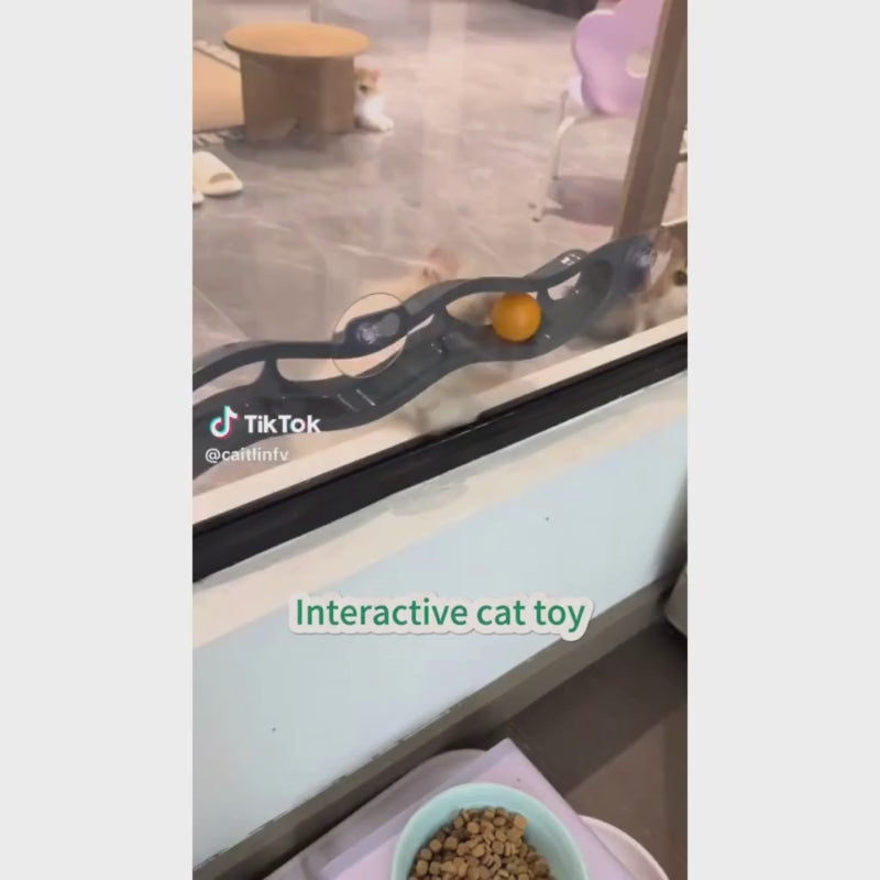 Cat Track Ball Toy
