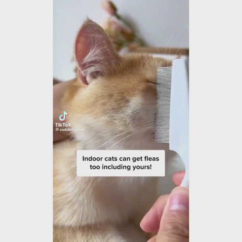 Pet Flea Comb