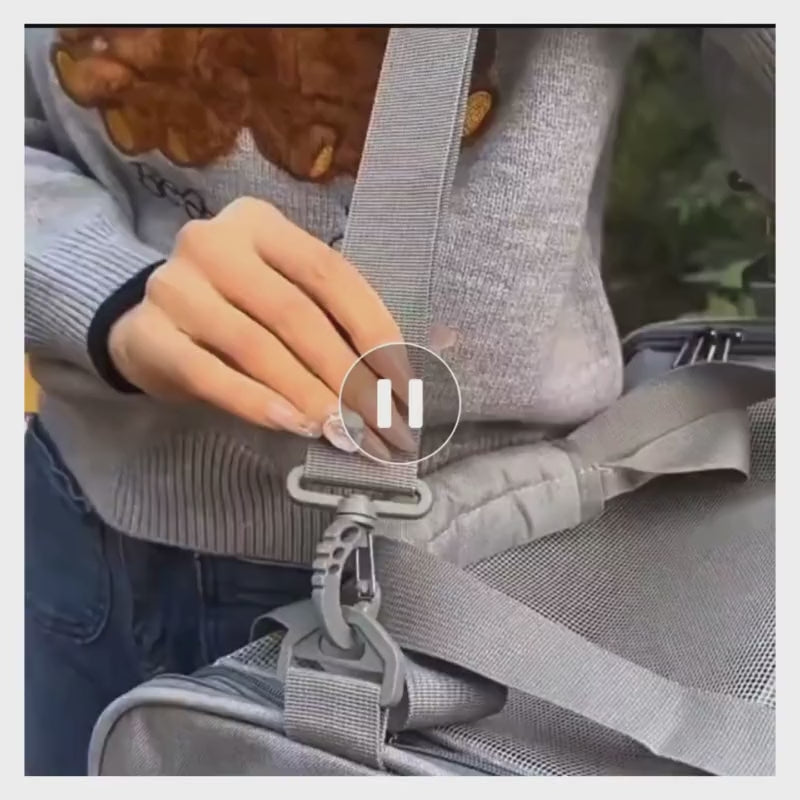 Airline Approved Pet Carrier Bag