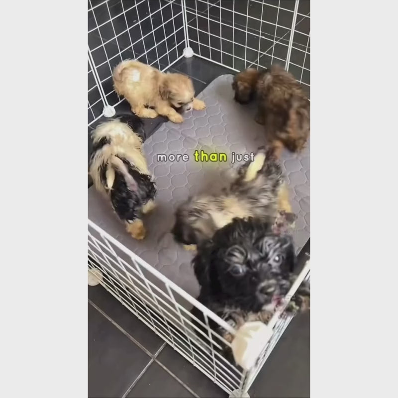 Washable Pet Pee Pad