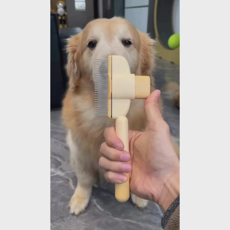 One-click Self Cleaning, Efficient Hair Removal