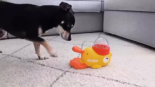 Litte Yellow Duck Pet Food Dispenser Toy