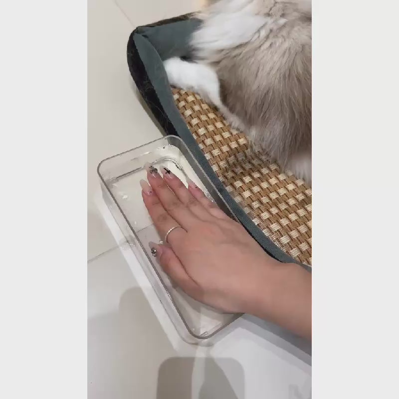 3-in-1 Electric Pet Steam Brush for Cats & Dogs