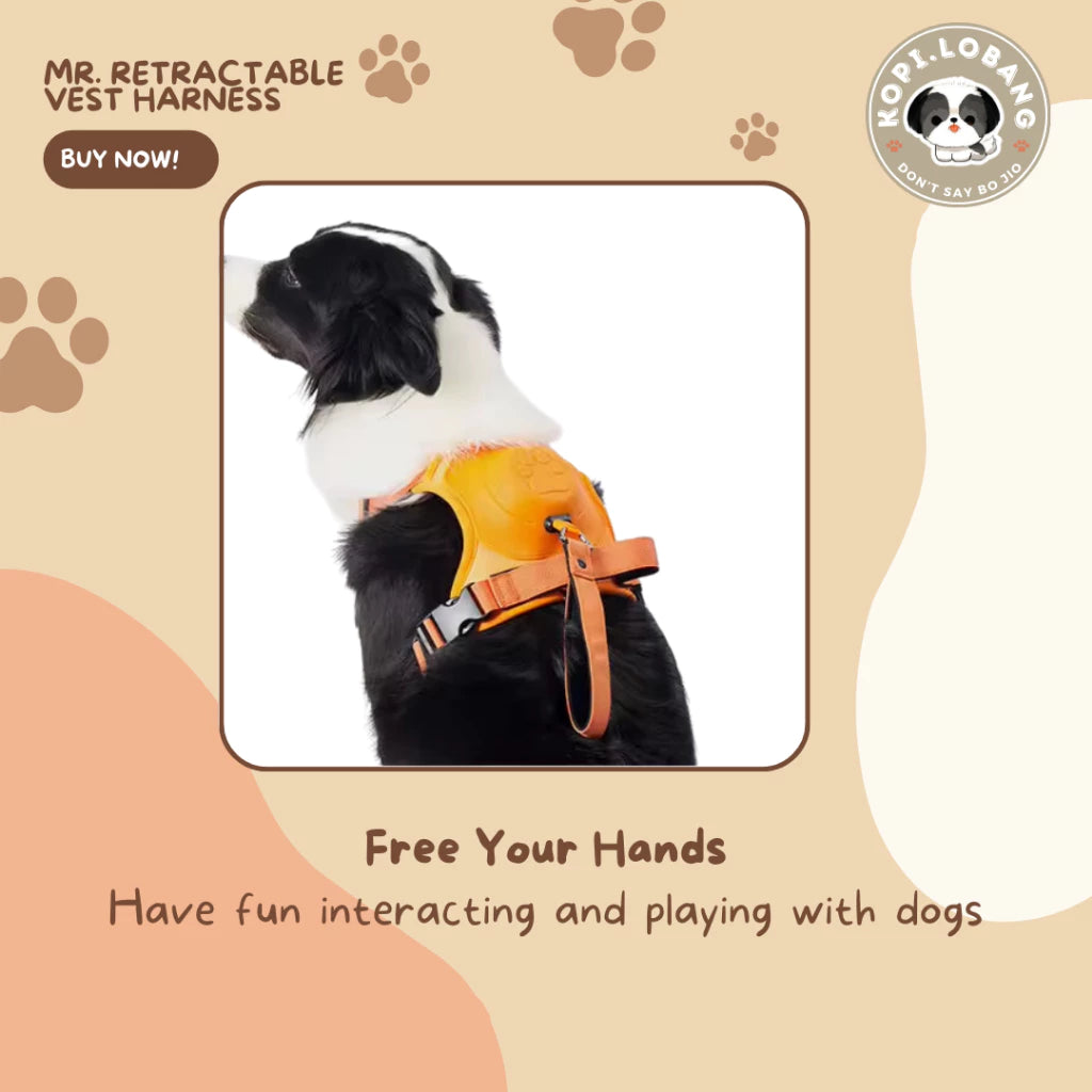 Dual Leash Pet Traction Vest