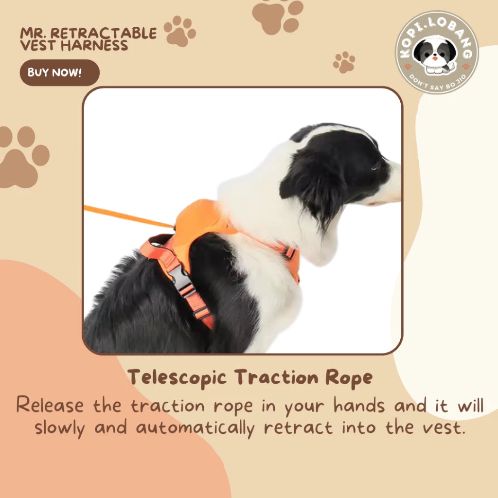 Dual Leash Pet Traction Vest